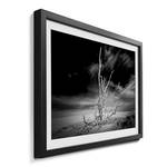 Gerahmtes Bild Desert Landscape Fichte / Acrylglas - Schwarz / Weiß