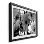 Ingelijste afbeelding Flowery Scent sparrenhout/acrylglas - zwart/wit