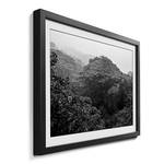 Ingelijste afbeelding Jungle sparrenhout/acrylglas - zwart/wit