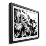 Ingelijste afbeelding Orchid Blossoms sparrenhout/acrylglas - zwart/wit