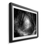 Gerahmtes Bild Way in Deep Forest II Fichte / Acrylglas - Schwarz / Weiß
