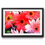 Gerahmtes Bild Flowery Scent II Fichte / Acrylglas