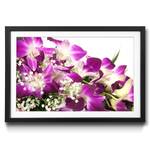 Ingelijste afbeelding Orchid Blossom sparrenhout/acrylglas