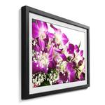 Gerahmtes Bild Orchid Blossom