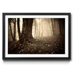 Ingelijste afbeelding Enchanted Forest sparrenhout/acrylglas - beige