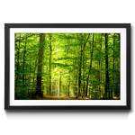 Tableau déco Into The Forest Vert - Verre - Papier - Bois massif - En partie en bois massif - 64 x 44 x 2.2 cm