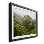 Quadro con cornice Jungle Abete / Vetro acrilico