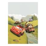 Fotomurale Cars Camping Multicolore - Altro - 200 x 280 x 0.1 cm