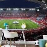 Papier peint Stade Bayern - 3,66 x 2,54 cm