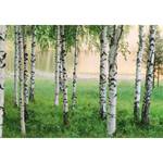 Fotomurale Nordic Forest - Verde / Bianco / Beige - 3,66cm x 2,54cm