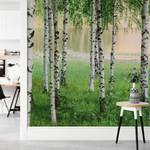Papier peint Nordic Forest - Vert / Blanc / Beige - 3,66 x 2,54 cm