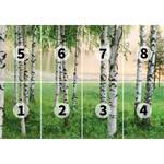 Fotobehang Nordic Forest - groen / wit / beige - 3,66cm x 2,54cm