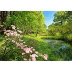 Fotobehang Spring - groen / blauw / roze - 3,66cm x 2,54cm