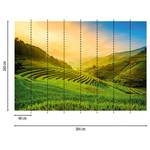Fotobehang Rijstveld Landschap vlies - groen / geel / blauw - 3,84cm x 2,6cm
