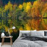 Fototapete See im Herbst Vlies - Grün / Orange / Schwarz