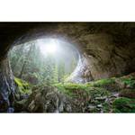 Papier peint Grotte dans la forêt Intissé - Vert / Gris / Marron - 3,84 x 2,6 cm