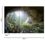 Fotomurale Rocce e foresta Tessuto non tessuto - Verde / Grigio / Marrone - 3,84cm x 2,6cm