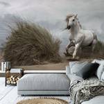Fotobehang Paard Strand vlies - wit / grijs / groen - 3,84cm x 2,6cm