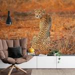 Papier peint Leopard Safari Intissé - 3,84 x 2,6 cm - Largeur : 384 cm