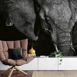 Fototapete Elefant Vlies - Schwarz / Grau