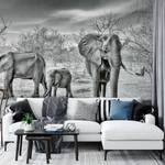 Fototapete Elephant Family Vlies - Schwarz / Weiß / Grau