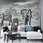 Fotobehang Elephant Family vlies - zwart / wit / grijs - 3,84cm x 2,6cm