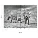 Fototapete Elephant Family