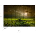 Fotomurale Fulmine e campo Tessuto non tessuto - Verde / Marrone - 3,84cm x 2,6cm