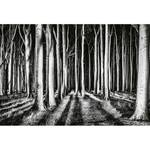 Papier peint Ghost Forest Intissé - Noir / Blanc - 3,84 x 2,6 cm - Largeur : 3.8 cm