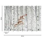 Fotomurale Foresta III Tessuto non tessuto - Grigio / Rosso / Bianco - 3,84cm x 2,6cm