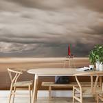Fotomurale Spiaggia e nuvole Tessuto non tessuto - Beige / Grigio - 3,84cm x 2,6cm