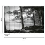 Fotobehang Forest Lake vlies - grijs / zwart - 3,84cm x 2,6cm