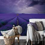 Fototapete Field of Lavender Vlies - Lila - Breite: 3.8 cm