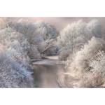 Fotobehang Winter Bos Meer vlies - grijs / grijs - 3,84cm x 2,6cm