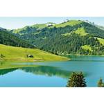 Fotomurale Lago assolato Tessuto non tessuto - Verde / Blu - 3,84cm x 2,6cm