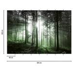 Papier peint Forêt au soleil couchant Intissé - 3,84 x 2,6 cm