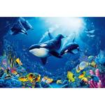 Fotobehang Delight of Life Orka vlies - 3,84cm x 2,6cm