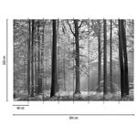 Fotomurale Foresta in autunno Tessuto non tessuto - Nero / Bianco - 3,84cm x 2,6cm