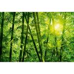 Fototapete Bamboo Forest II Vlies - Grün