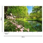 Fotomurale See Natur Tessuto non tessuto - Verde / Blu / Rosa - 3,84cm x 2,6cm