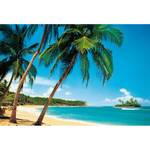 Fotomurale Spiaggia tropicale Tessuto non tessuto - Blu / Beige / Verde - 3,84cm x 2,6cm