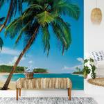 Fotomurale Spiaggia tropicale Tessuto non tessuto - Blu / Beige / Verde - 3,84cm x 2,6cm