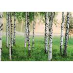 Fotobehang Nordic Forest Berken vlies - groen / wit / bruin - 3,84cm x 2,6cm