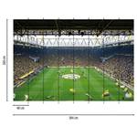 Fotobehang BVB Fan Choreo vlies - 3,84cm x 2,6cm