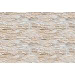 Fototapete Stone Wall Stein Vlies - Beige