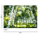 Fototapete Sunshine Forest Birken Vlies - Grün / Weiß