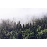 Papier peint Foggy Forest Intissé - Vert / Blanc - 3,84 x 2,6 cm