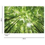 Fotobehang Sunny Forest vlies - 3,84cm x 2,6cm