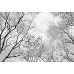 Fotobehang Tree Tops vlies - zwart / wit - 3,84cm x 2,6cm
