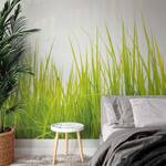 Fotomurale High Grass Tessuto non tessuto - Verde / Bianco - 3,84cm x 2,6cm - Larghezza: 384 cm